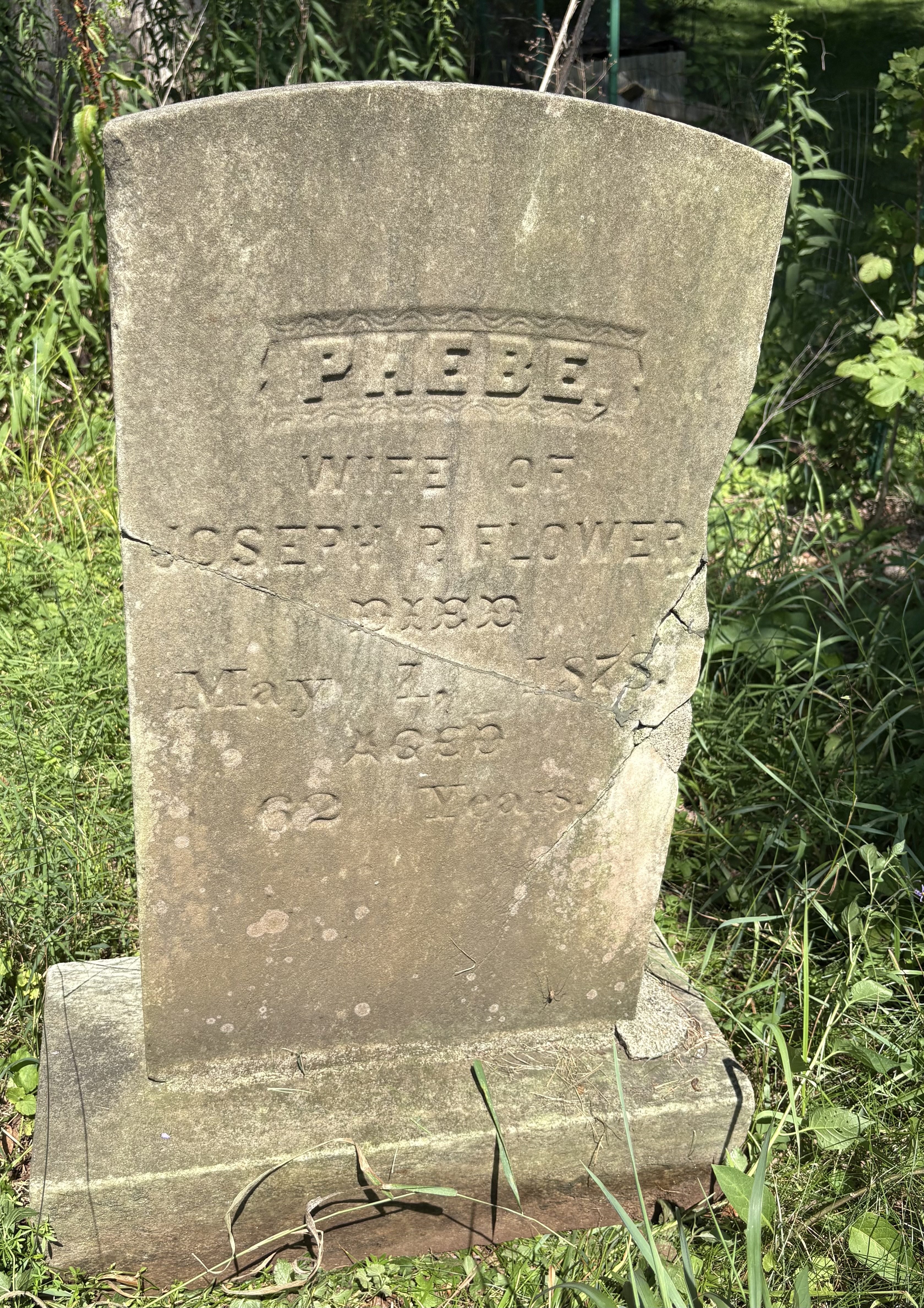 Old gravestone of Phebe