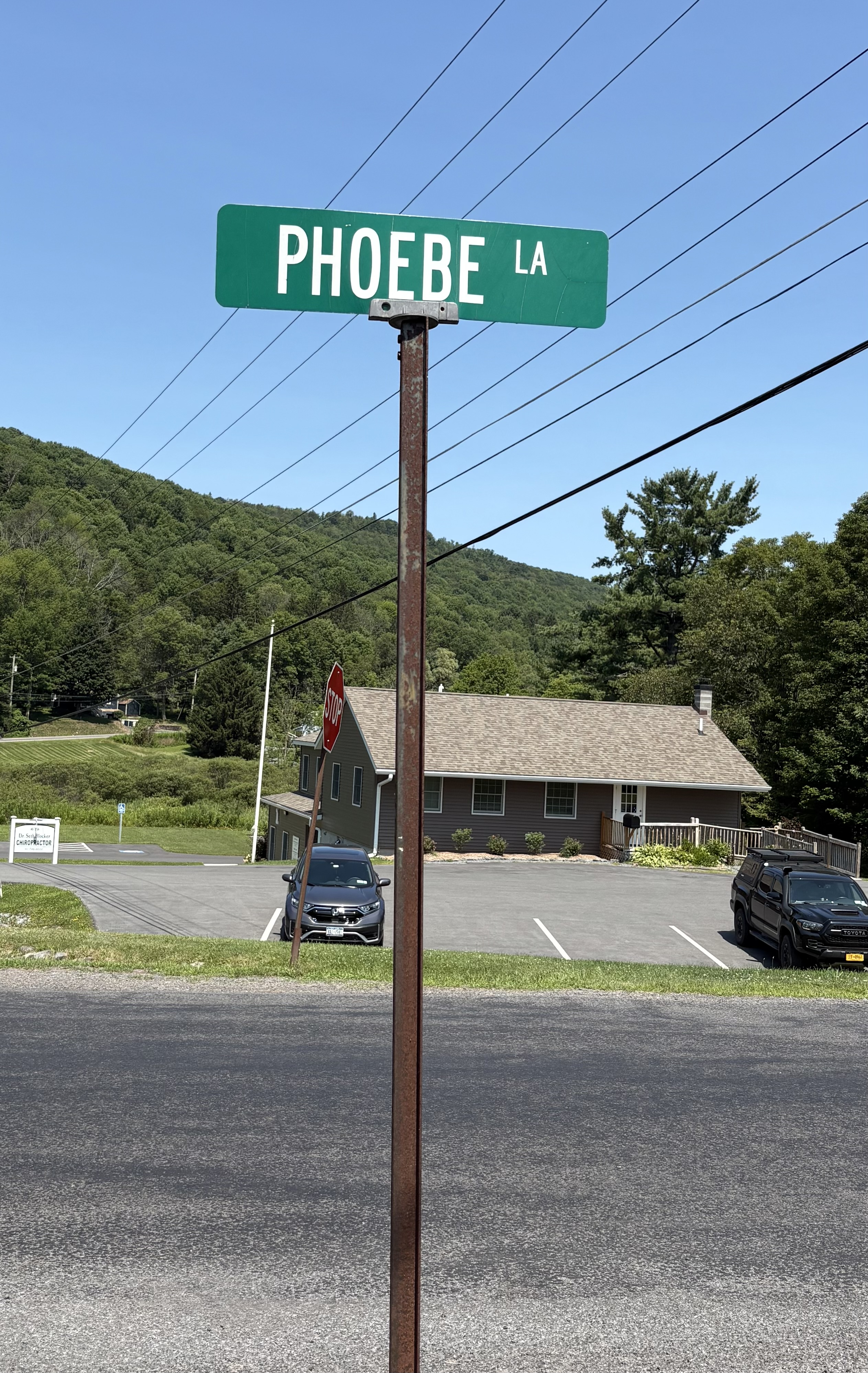 Phoebe Lane street sign